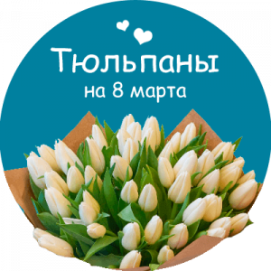 Купить тюльпаны в Хотьково